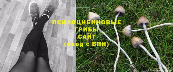 герыч Алексеевка