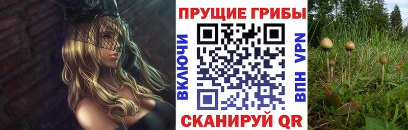 наркотики Пласт Галлюциногенные грибы ЛСД