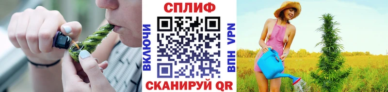 хочу   Пласт  OMG tor  Бошки марихуана THC 21% 